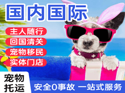 梧州西江国际宠物托运 【国
